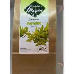 TIsane Verveine 40g